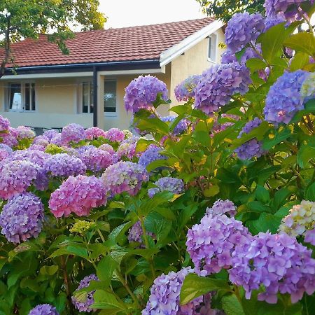 Cvjetni Apartmani Cetinje Bagian luar foto