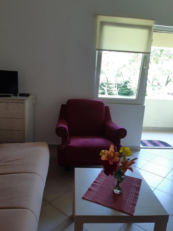 Cvjetni Apartmani Cetinje Bagian luar foto