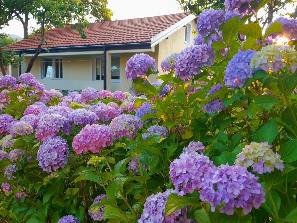 Cvjetni Apartmani Cetinje Bagian luar foto