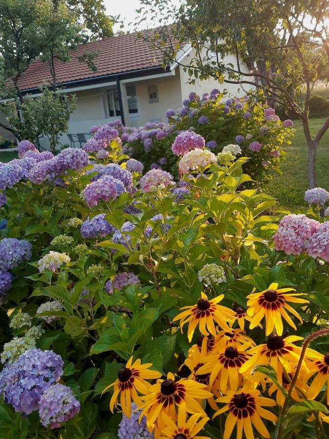 Cvjetni Apartmani Cetinje Bagian luar foto