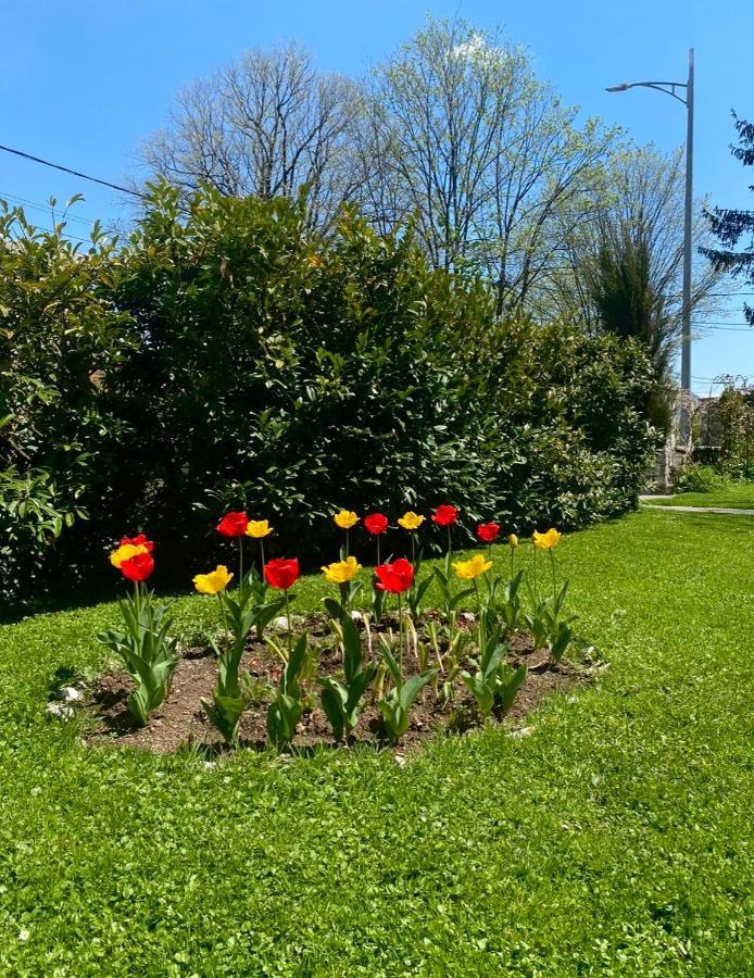 Cvjetni Apartmani Cetinje Bagian luar foto