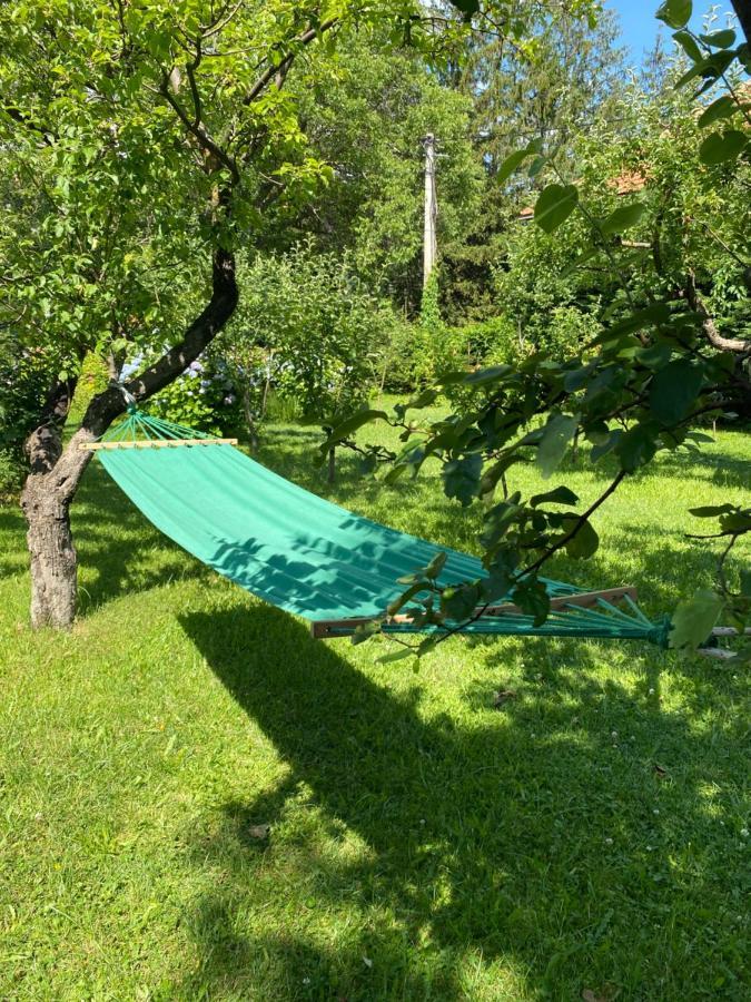 Cvjetni Apartmani Cetinje Bagian luar foto