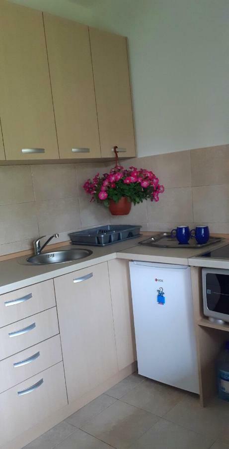Cvjetni Apartmani Cetinje Bagian luar foto