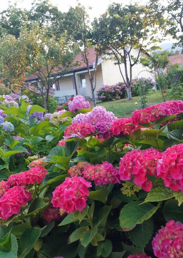 Cvjetni Apartmani Cetinje Bagian luar foto